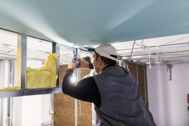 Best Insulation Maintenance and Repair in Piednt, MO