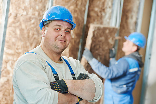 Best Insulation Installation Services in Piednt, MO